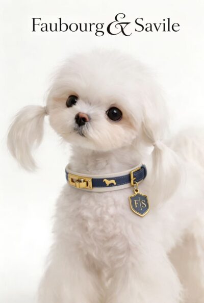 Training Control Collar