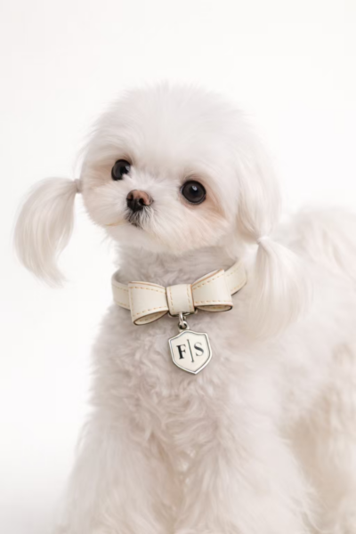 Reflective Safety Collar