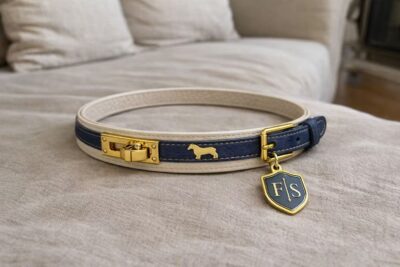 Luxury Gold Buckle Collar
